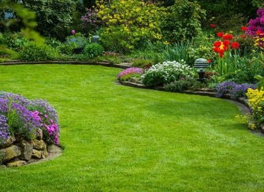 Lawn Landscaping