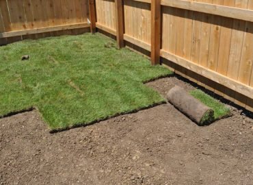 Sod Installation